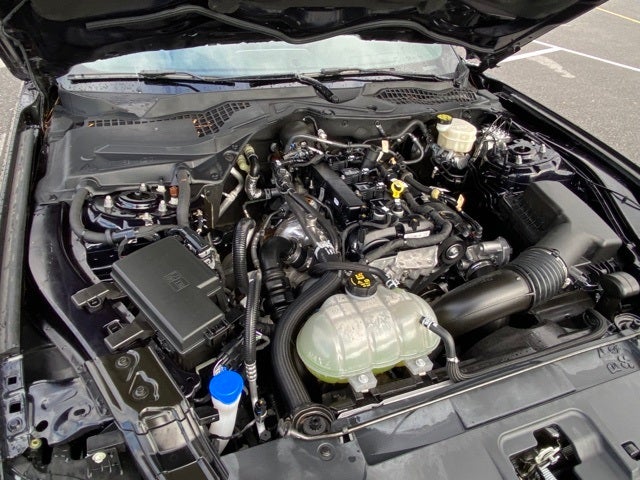 2021 Ford Mustang EcoBoost Premium Fastback